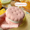 Cookie Slow Rising Squishy